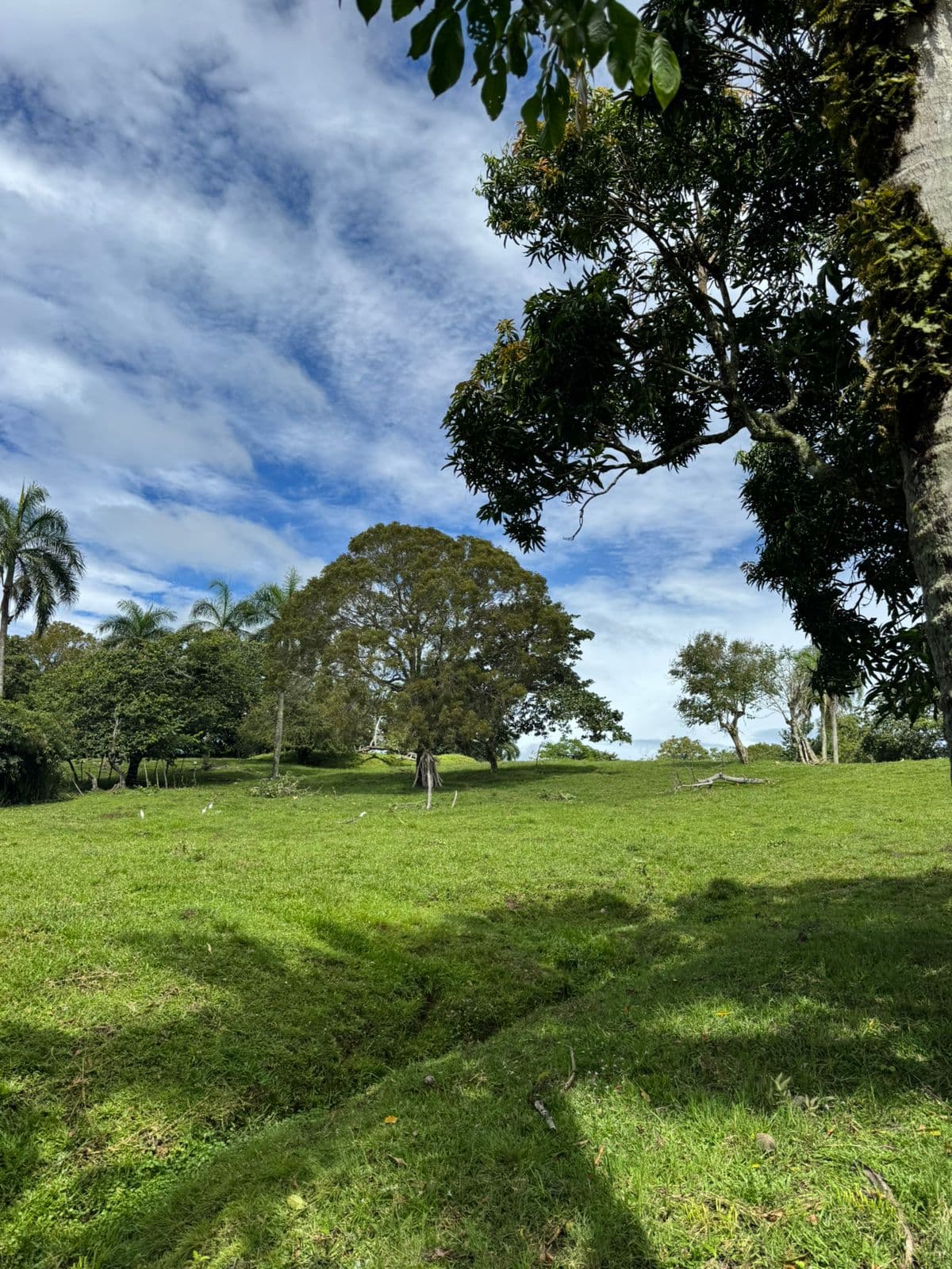 Quintas don felipe